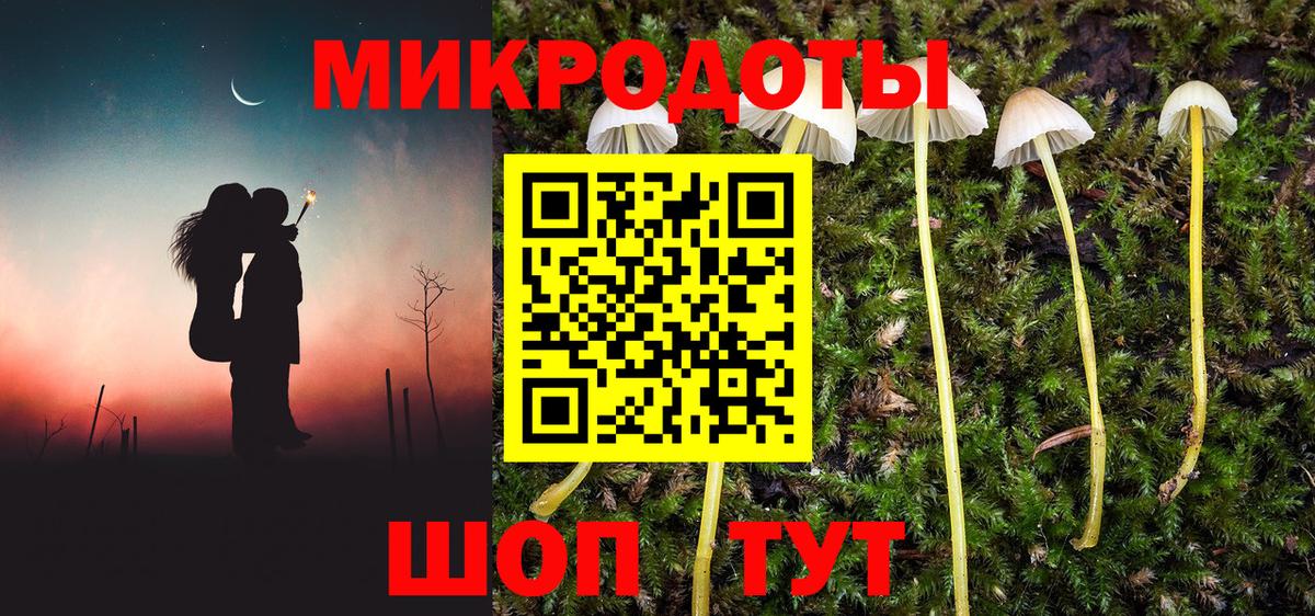 Жуковский  Галлюциногенные грибы Psilocybine cubensis  Вход с VPN 