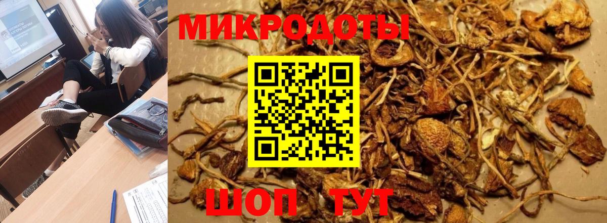 Псилоцибиновые грибы прущие грибы Жуковский